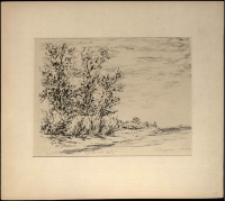 Topole nad Wisłą [Dokument ikonograficzny]