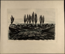 Motyw znad Wisły. Wariant /I/ [Dokument ikonograficzny]