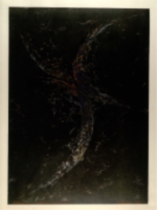 Skrzydło. Wariant VI [Dokument ikonograficzny]