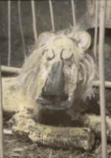 Józef Wilkoń. Lew - pocztówka [Dokument życia społecznego]