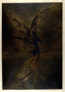 Skrzydło /Wariant G/ [Dokument ikonograficzny]