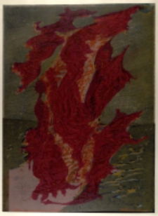 Kompozycja morska III / Wariant VIII/ [Dokument ikonograficzny]