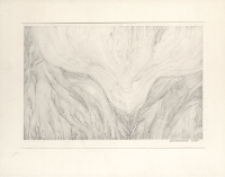 [Motyw roślinny] [Dokument ikonograficzny]