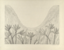 [Kwiaty] [Dokument ikonograficzny]