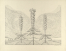 [Łubin] [Dokument ikonograficzny]