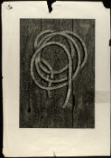 Pokład [Dokument ikonograficzny]