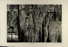 Ci kt&oacute;rzy przeżyli [Dokument ikonograficzny]