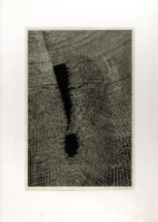 Dziury w całym [Dokument ikonograficzny]