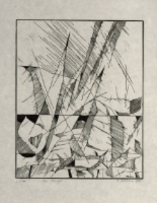 Cień [Dokument ikonograficzny]