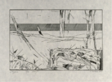 Wyspa [Dokument ikonograficzny]