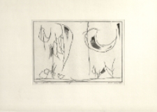 Wieczorne cienie [Dokument ikonograficzny]