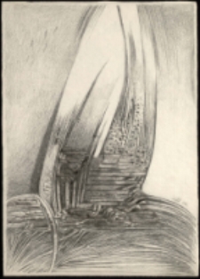 [Trawa III] [Dokument ikonograficzny]