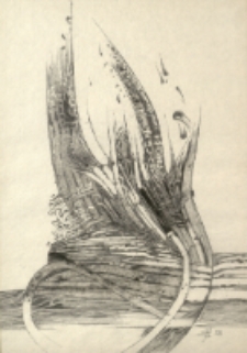 [Trawa VII] [Dokument ikonograficzny]