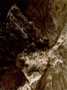 Czasoprzestrzeń II [Dokument ikonograficzny]