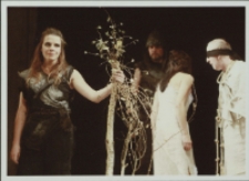 Lilla Weneda (fot. 8) [Dokument ikonograficzny]