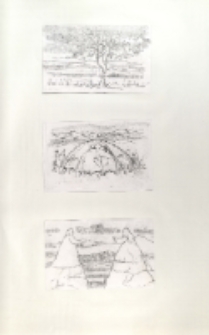 [Jabłoń] [Dokument ikonograficzny]