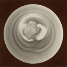 Bez tytułu [Dokument ikonograficzny]