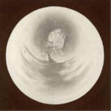 Bez tytułu [Dokument ikonograficzny]