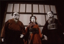 Królewski wróbel (fot. 1) [Dokument ikonograficzny]