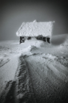 Zimowe formy [Dokument ikonograficzny]