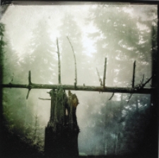 Bez tytułu [Dokument ikonograficzny]