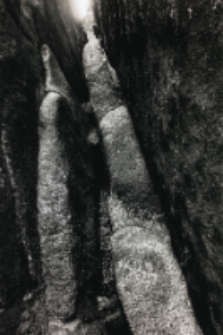 Bez tytułu [Dokument ikonograficzny]