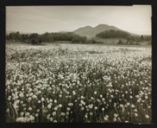 Góry Sokole[Dokument ikonograficzny]