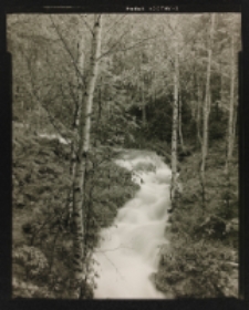 Schronisko Szwajcarka - Rudawy Janowickie [Dokument ikonograficzny]