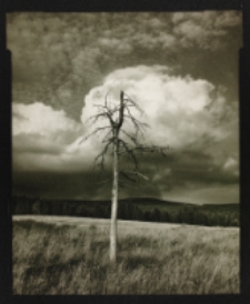 Hala Izerska [Dokument ikonograficzny]