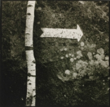 Szczeliniec [Dokument ikonograficzny]