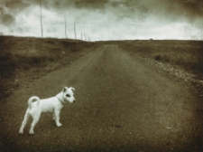 Bez tytułu [Dokument ikonograficzny]