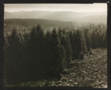 Mgły [Dokument ikonograficzny]