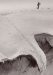 Flegmatik [Dokument ikonograficzny]