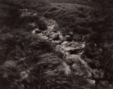 Bez tytułu [Dokument ikonograficzny]