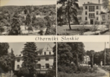 Widokówka Obornik Śląskich, ok. 1970 r. [Dokument ikonograficzny]