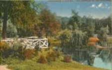 Hirschberg i. Schles. Der Ententeich auf dem Kavalierberg [Dokument ikonograficzny]