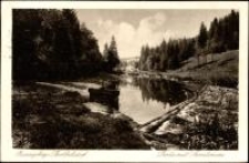 Riesengebirge - Berthelsdorf. Partie mit Sanatorium [Dokument ikonograficzny]