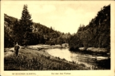 Im Sch&ouml;nen Queistal. Bei den drei Fichten [Dokument ikonograficzny]