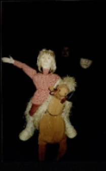 Konik Garbusek (fot. 3) [Dokument ikonograficzny]