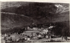 Bierutowice - panorama [Dokument ikonograficzny]