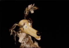 Rudy Dżil i jego pies (fot. 5) [Dokument ikonograficzny]