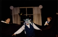 Śpiąca Królewna (fot. 3) [Dokument ikonograficzny]