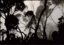 Kazimierz Pichlak. Gór górzystość - zaproszenie [Dokument życia społecznego]