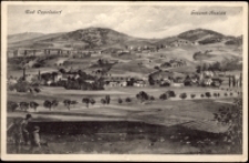 Bad Oppelsdorf. Gesamt-Ansicht [Dokument ikonograficzny]