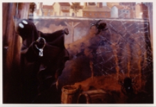 Mały duszek (fot. 4) [Dokument ikonograficzny]