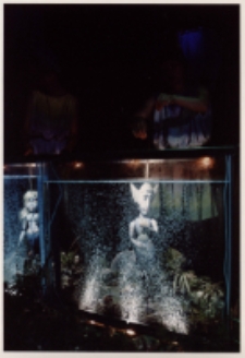 Mała syrenka (fot. 4) [Dokument ikonograficzny]