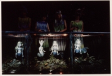 Mała syrenka (fot. 13) [Dokument ikonograficzny]