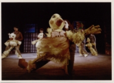 Porwanie kaczątek (fot. 1) [Dokument ikonograficzny]