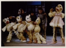 Porwanie kaczątek (fot. 4) [Dokument ikonograficzny]