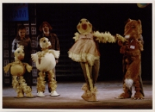 Porwanie kaczątek (fot. 5) [Dokument ikonograficzny]